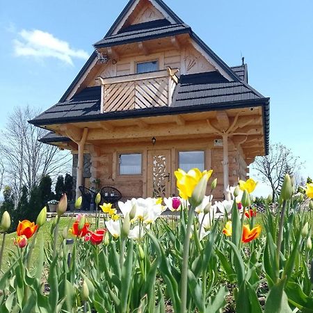 Domek Na Goralska Mode Suche Bagian luar foto